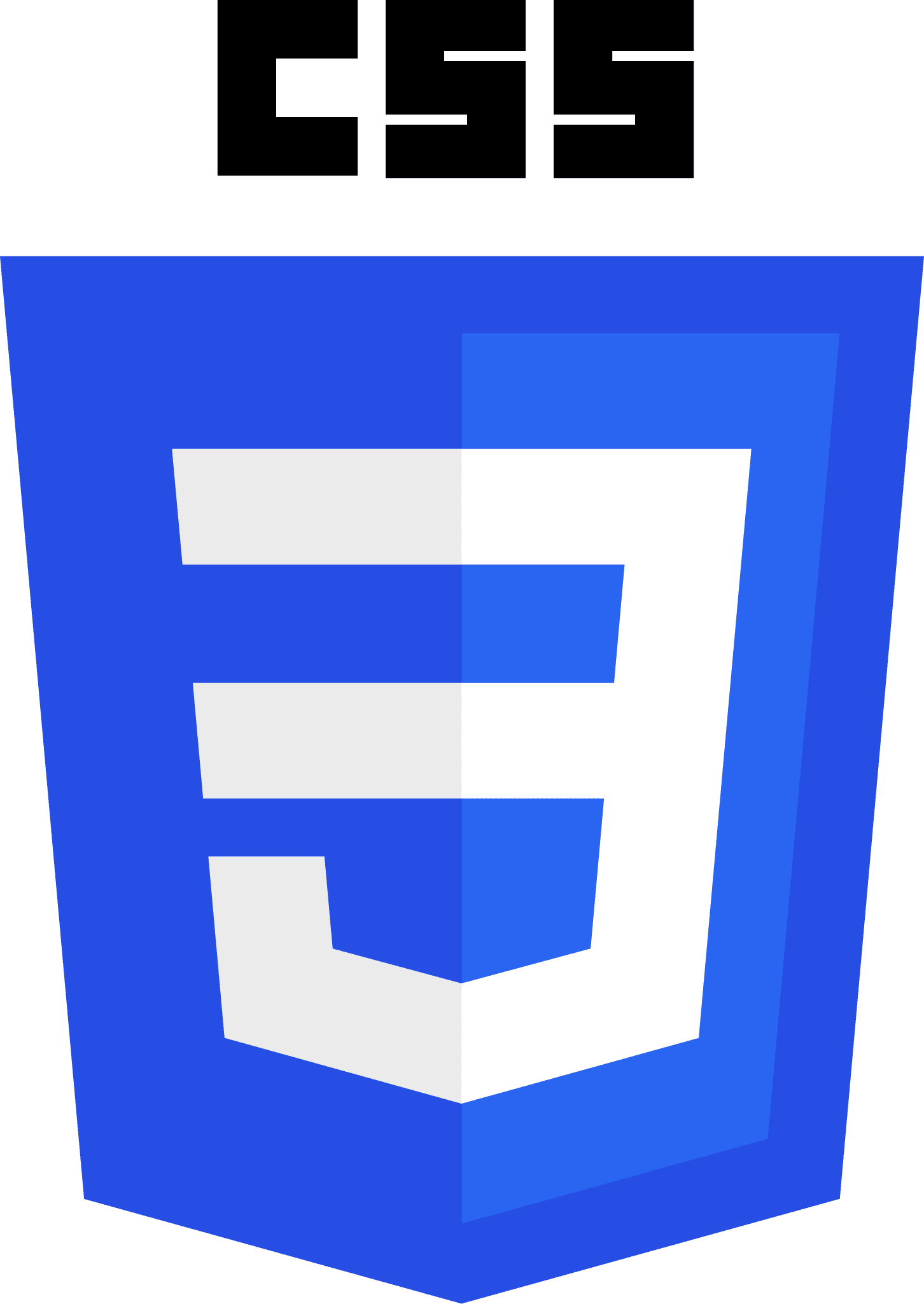 Our Technology Stacks | CSS logo